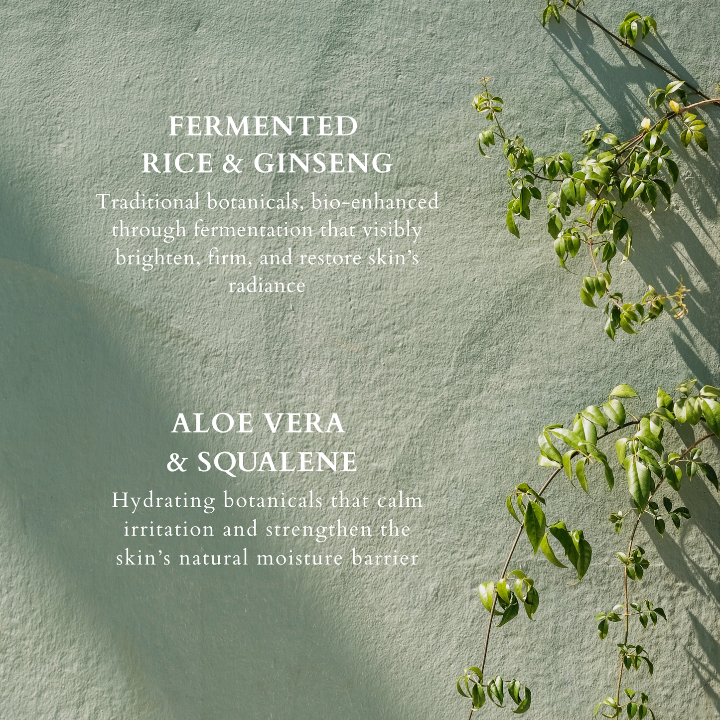 Youthful Radiance Cream